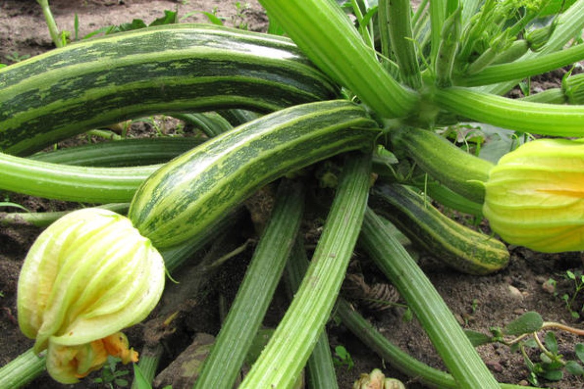 Annamartha / pixelio.de